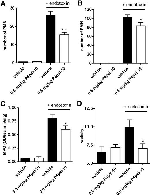 Figure 3. PAR-4 inhibition, neutrophil influx, and edema formation. Number of neutrophils (Ly6G-positive cells) for 10 microscopic fields (40 ×) in kidney (A) and liver (B) after the induction of the Shwartzman reaction with or without P4pal-10 (0.5 mg/kg) pretreatment. (C) Myeloperoxidase (MPO) activity as a marker of the presence of granulocytes in lung tissue after the induction of the Shwartzman reaction with or without (vehicle) 0.5 mg/kg P4pal-10 pretreatment. (D) Effect of P4pal-10 pretreatment (0.5 mg/kg) on endotoxin-induced pulmonary edema formation as represented by wet-dry ratios. Values are depicted as mean (± SEM). *P < .05