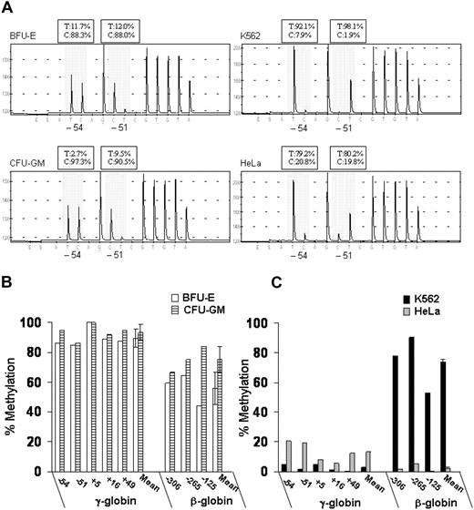 Figure 3. Patterns of DNA methylation at the promoters of the γ- and β-globin genes in erythroid (K562 and BFU-E) and nonerythroid (HeLa and CFU-GM) cells. (A) Example of pyrograms generated from pyrosequencing reactions at CpG sites −54 and −51 of the γ-globin promoters (shadowed area). (B,C) Levels of DNA methylation at 5 CpG dinucleotides at γ-globin promoters and 3 CpG dinucleotides at the β-globin promoter were determined by pyrosequencing. The data are expressed as percent methylation. Error bars represent SD. This experiment is representative of 3 independent experiments. T indicates thymidine; C, cytosine.