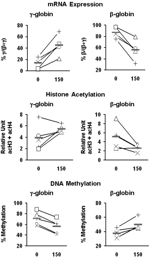 Figure 5. Effects of butyrate on the expression and epigenetic modifications of the γ- and β-globin genes. Mononuclear cells from 5 patients with SCD (+, ×, □, ▵, ○) were cultured into BFU-E–derived colonies in the absence and presence of butyrate. mRNA levels were measured by quantitative real-time RT-PCR and expressed as percentage γ/(β + γ) and percent β/(β + γ). The levels of acetylation of histones H3 and H4 are expressed in relative units and are presented as the sum of acH3 and acH4 (acH3 + acH4). The levels of DNA methylation at the promoters of γ- and β-globin genes are expressed as the mean of methylation levels at all CpG sites (ie, 5 sites for γ-globin and 3 sites for β-globin). Solid horizontal lines represent the mean values for every condition.