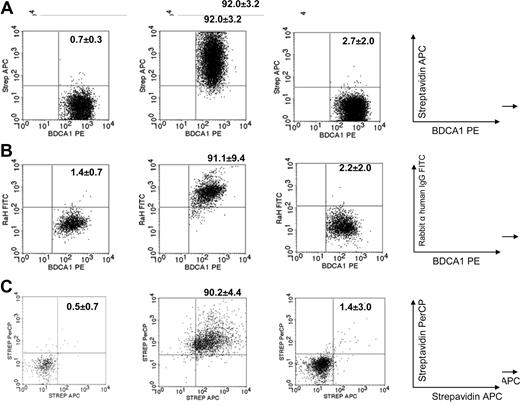 Figure 2. Presence of IVIgs on the surface and in the cytoplasm of DCs after maturation. (A) DCs were stimulated for 18 hours in the absence (left plot) or presence of biotinylated IVIgs (middle plot) or HSA (right plot). Using streptavidin-APC, binding of IVIg-biotin was detected on 92% (± 3%) of the surface of IVIg-DCs after maturation (N = 3). (B) DCs were stimulated for 18 hours in the absence (left plot) or presence of IVIgs (middle plot) or HSA (right plot). Rabbit anti–human IgG-FITC F(ab)2 was used to detect IVIg binding on the DC membrane. This showed equivalent results (N = 4). (C) To determine internalization of IVIgs during maturation, biotinylated IVIgs on the DC surface were detected by streptavidin-PerCP. Thereafter, residual-free biotinylated IVIgs on the cell surface were blocked using biotin-blocking reagent, DCs were fixed and permeabilized, and intracellular biotinylated IVIgs were detected using streptavidin-APC. We observed that IVIgs were present on the surface as well in the cytoplasm of the DCs (N = 3). Numbers on plots are percentage positive cells (± SD).