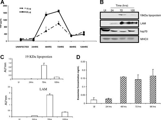 Figure 3. Proinflammatory activity of exosomes is dependent on the time of isolation from M bovis BCG–infected J774 cells. (A) Exosomes were isolated from the cell-conditioned media of uninfected (UI) J774 cells or at indicated times after infection with M bovis BCG and the isolated exosomes (10 or 20 μg) added to BALB/c BMMs. Cell-conditioned media collected 24 hours after exosome treatment were assayed for TNF-α production by ELISA. Data are representative of 2 independent experiments and are expressed as means plus or minus standard deviation for duplicate wells. (B) Exosomes (10 μg) isolated from the cell-conditioned media at the times indicated were analyzed for the mycobacterial components LAM and the 19-kDa lipoprotein, and the host components hsp70 and MHC class II by Western blot using antigen-specific antibodies. (C) Densitometry in arbitrary units for the bands shown in the Western blot for the 19-kDa lipoprotein and LAM. (D) J774 cells were left uninfected or were infected with M bovis BCG for 24, 48, 72, and 96 hours. Exosomes were isolated and resuspended in equal volumes of PBS and protein concentration (mg/mL) determined by Micro BCA assay. The data are representative of 2 independent experiments and expressed as means plus or minus standard deviation for triplicate wells.