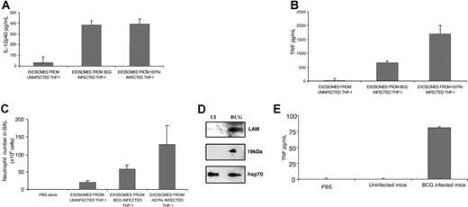 Figure 7. Exosomes isolated from mycobacteria-infected THP-1 cells or from M bovis BCG–infected mice induce a proinflammatory response in vitro and in vivo. IL-12 p40 (A) and TNF-α (B) protein levels in lysates of mouse lungs 1 day after intranasal injection with 20 μg exosomes derived from uninfected, M bovis BCG–infected, or M tuberculosis H37Rv–infected THP-1 cells as quantified by ELISA. Background cytokine levels (ie, PBS injection) are subtracted from all values. Shown are the means plus or minus standard deviations for 3 mice and are representative of 2 separate experiments. (C) Neutrophil infiltration in the BALF of mice injected with the various exosome preparations or PBS control at 1 day after injection. Data are representative of 2 experiments. (D) Exosomes (3 μg) isolated from the BALF of uninfected (UI) or M bovis BCG–infected C57BL/6 mice were analyzed by Western blot using specific antibodies for the host protein hsp70 and for the mycobacteria 19-kDa lipoprotein and LAM. (E) C57BL/6 BMMs were treated with 200 ng of exosomes isolated from the BALF of uninfected or M bovis BCG–infected mice. Cell-conditioned media were assayed for TNF-α by ELISA 24 hours after exosome treatment. Data are representative of 2 experiments and are expressed as means plus or minus standard deviation for duplicate wells.