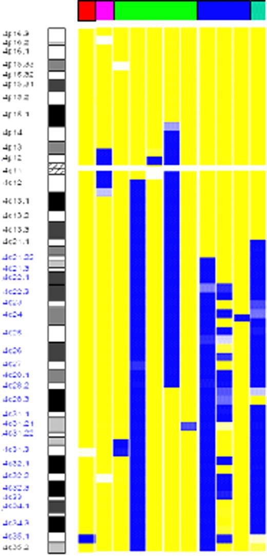 Figure 2. Detailed ideogram of UPD on chromosome 4. The yellow areas indicate regions of heterozygosity and the blue areas indicate regions of LOH. All regions of LOH were copy neutral: red 5q− syndrome (n = 2); pink RCMDac (n = 1); RA+RCMDnc (n = 5); blue RARS (n = 3); and green RAEB (n = 1).