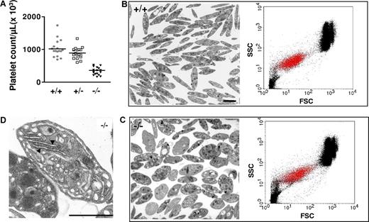 Figure 2. Platelet counts and ultrastructure. (A) MYH9Δ mice exhibited thrombocytopenia. The mean is represented in the figure (n = 17-18). (B,C) Heterogeneity in platelet size as observed both by TEM (left panels) and by flow cytometry (right panels, showing representative dot plots of whole blood; FSC indicates forward scatter; SSC, side scatter; αIIbβ3-positive platelets are visualized by red dots). Control (B) and MYH9Δ (C) mouse platelets (bars 2 μm). (D) Higher magnification of a MYH9Δ platelet showing the highly developed RER (bar 2 μm).