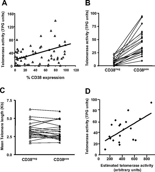Figure 6. Telomerase activity and telomere length of flow-sorted populations. (A) Telomerase activity was assayed in B cells from 60 patients with CLL using the TRAP assay and percentage of CD38+ CLL cells plotted versus TPG (total product generated) units in the same patients. CD19+CD5+ cells from 20 patients with CLL were sorted into CD38+ and CD38− subpopulations and processed for quantification of telomere length and telomerase activity. (B) Lines connect data points that indicate telomerase activity in the cell subsets of each individual patient. (C) Lines connect data points for mean telomere lengths of flow-sorted CD38+ and CD38− CLL cells. (D) Significant positive correlation (r = .465; P < .045) exists between estimated telomerase activity and observed telomerase activity (TPG units) in CD38+ cells from 20 patients with CLL shown in panels B and C; this correlation does not exist in the CD38− cells. Diagonal lines in panels A and D indicate best fits based on linear regression of data.