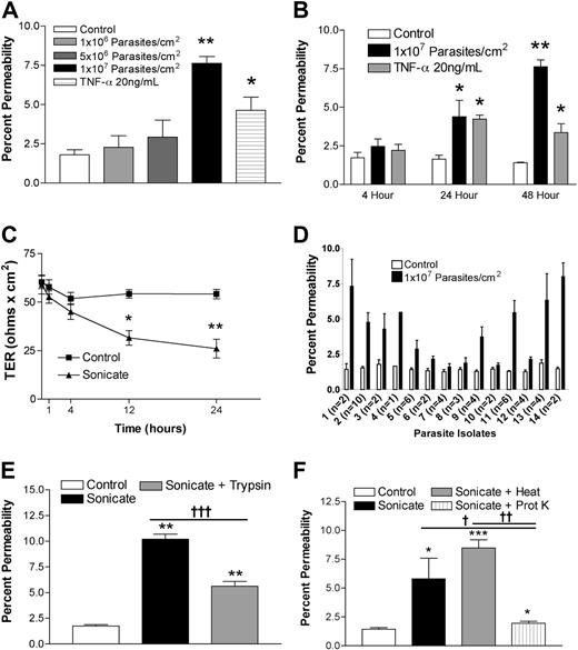 Figure 1. Changes in endothelial permeability induced by P falciparum sonicates in HDMECs. HDMECs (105/cm2) were seeded in transwells and cultured until 3 days after confluence. (A) Increasing concentrations of parasite sonicates were added for 24 hours. An increase in the flux of FITC-albumin was observed at a threshold of 107 parasite equivalents/cm2. (B) Time course of changes in FITC-albumin flux of HDMEC monolayers incubated with 107 parasite equivalents/cm2. A significant increase in permeability was detected at 24 hours and maintained for at least 48 hours. No response was observed at 4 hours. (C) Time course of changes in transendothelial resistance (TER) of endothelial monolayers incubated with 1 107 parasite equivalents/cm2. A significant decrease in TER was observed at 12 and 24 hours. Experiments in panels A to C were performed with 4 parasite isolates. (D) Variable permeability as determined by FITC-albumin flux of 14 clinical parasite isolates at 107 parasite equivalents/cm2 for 24 hours. Parasite sonicate activity was significantly reduced after overnight (16 h) treatment with (E) trypsin (10 μg/mL) or (F) proteinase K (10 U/mL; n = 3). *P < .05; **P < .01 compared with control values by Student paired t test. For multiple comparisons †P < .05, ††P < .01, and †††P < .001 by ANOVA with post hoc analysis by Tukey test. (A-F) Results are expressed as mean (± SD).