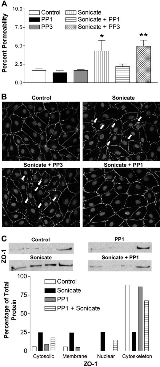 Figure 4. Role of Src-family kinases in endothelial permeability induced by P falciparum sonicates in HDMECs. HDMECs in transwells were either untreated or pretreated for 30 minutes at 37°C with the selective Src-family kinase inhibitor PP1 and its inactive analog PP3 (10 μM). (A) PP1 but not PP3 abrogated the changes in FITC-albumin flux induced by parasite sonicates (n = 4). (B) PP1 but not PP3 inhibited the discontinuous staining for ZO-1 and gap formation induced by parasite sonicates. Arrows indicate the presence of interendothelial gaps. (C) PP1 inhibited the redistribution of ZO-1 from the cytoskeleton. Microscopy and Western blot results are representative of 4 experiments. For densitometric analysis of subcellular fractions, each fraction was expressed as a percentage of the total densitometry measurements for all 4 fractions. *P < .05, **P < .01 compared with control values by Student paired t test. (A) Results are expressed as mean (± SD).