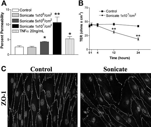 Figure 5. Changes in endothelial permeability induced by P falciparum sonicates in primary HLMECs. Permeability of human lung microvascular endothelial cells (HLMECs) was increased following incubation with parasite sonicates at 107 parasite equivalents/cm2 for 24 hours as determined by (A) the flux of FITC-albumin and (B) transendothelial resistance (n = 4). (C) Morphologic changes in ZO-1 staining induced by parasite sonicates as described above for HDMECs (Figure 1A) were also seen in HLMECs. *P < .05, **P < .01 compared with control values by Student paired t test. (A,B) Results are expressed as mean (± SD).
