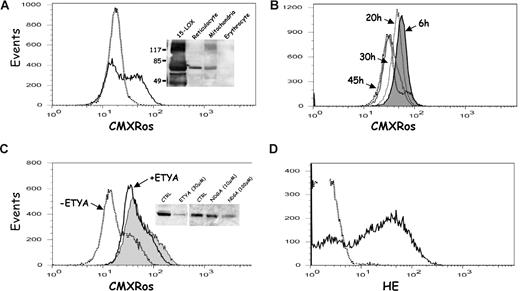 Figure 2. Mitochondrial membrane potential and ROS production during red cell maturation. Mitochondrial membrane potential (ΔΨm) was monitored using MitoTracker CMXRos as described in “Mitochondria membrane potential measurement.” (A) on mature erythrocytes obtained from a healthy rat (dotted line) and immature red cells obtained from an anemic rat (solid line). (Inset) Mature erythrocytes (1 μL packed cell volume), young reticulocytes (1 μL packed cell volume) corresponding to the lower-density fraction of Percoll-purified immature red cells,14 and mitochondria (50-μg protein) isolated from reticulocytes were loaded on 10% SDS-PAGE and analyzed by Western blotting for 15-lipoxygenase (15-LOX). The 15-LOX (1.4-μg protein) isolated from rabbit reticulocytes was loaded as a control. The molecular mass (kDa) standards are indicated on the left. (B) The ΔΨm was monitored after 6, 20, 30, and 45 hours of in vitro maturation of Percoll-purified young reticulocytes (as indicated). (C) The ΔΨm was monitored on freshly isolated young reticulocytes (tinted pattern) and after 48 hours of cell maturation in the absence (dotted line) or presence (solid line) of the lipoxygenase inhibitor ETYA (30 μM). (Inset) Reticulocytes were matured in vitro for 24 hours in the absence (CTRL) or presence of the lipoxygenase inhibitors (NDGA, ETYA) at the indicated concentrations. Exosomes were then collected from the culture medium, loaded on 10% SDS-PAGE, and analyzed for the presence of TfR by Western blot. (D) Intracellular ROS was assayed using the dye hydroethydine (HE) on mature (–) and immature red cells (—).