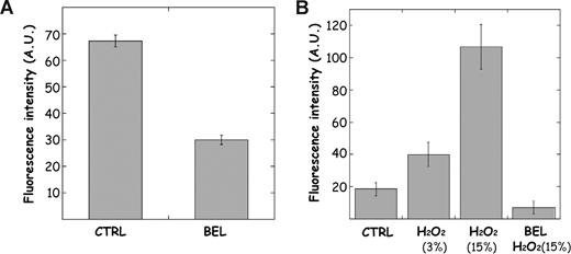 Figure 3. Activation of endosomal iPLA2 activity by ROSs. Endosomal vesicles were purified from reticulocytes and used to measure iPLA2 activity with the bodipy FL11 PC probe as described in “Measurement of iPLA2 activity in endosomes.” (A) The enzymatic activity was measured in the absence (CTRL) or presence of the iPLA2-specific inhibitor bromoenolactone (BEL; 100μM). (B) Endosomal vesicles were incubated with H2O2 (3% and 15%) for 30 minutes before measuring iPLA2 activity. In some cases, vesicles were treated with BEL, as described in panel A, prior to H2O2 activation. Data are presented as means (± SD) of triplicate samples.