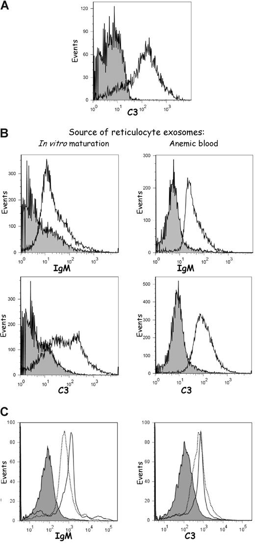 Figure 6. C3 component deposition on exosomes. (A) Jurkat cells wherein apoptosis was induced were incubated with FCS and assessed for C3 deposition by flow cytometry. Tinted pattern indicates absence of primary antibodies. (B) Latex beads were coated with exosomes isolated after in vitro maturation or directly from the plasma of an anemic animal. The complexes were then analyzed by flow cytometry for the presence of IgM and C3 using the appropriate antibodies. Tinted patterns indicate absence of primary antibodies. (C) Plasma was collected from an anemic animal and ultracentrifuged to remove exosomes. Reticulocytes were matured in vitro for 48 hours in medium without (tinted pattern) or with plasma, heated-inactivated (–) or not (—). Exosomes were then isolated, coated on latex beads, and analyzed by flow cytometry for IgM or C3 component.