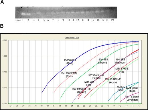 Figure 1. Verification of HIV-1 infection of HPC-CFUs by Alu-LTR integration. (A) Infected colonies and blank wells were tested for integration using nested PCR.17 The resulting DNA product was approximately 150 bp in length. 8E5 cellular DNA (lanes 1-4: 50 000, 5000, 500, and 50 copies, respectively), a blank MJ4 well as the negative control (lane 5), MJ4-infected BFU-E colonies (lanes 6-8), MJ4-infected CFU-GM colonies (lanes 9-13), the MHX-infected CFU-GM colony (lane 14), BW-2036–infected BFU-E colonies (lanes 15, 16), BW-2036–infected CFU-GM colonies (lanes 17, 18), and H2O (lane 19) are shown. (B) Representative fluorescent curves of SYBR Green integration assay. Standards are indicated as copy number of 8E5 cellular DNA; positive colony types and negative blank wells from MJ4 and patient 13 are also shown with colors indicated in parentheses.