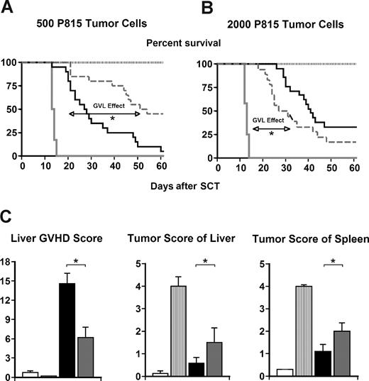 Figure 4. GVL activity is maintained following CCR1−/− SCT. Lethally irradiated B6D2F1 mice received transplants from syngeneic B6D2F1 (gray solid line; ) and allogeneic CCR1+/+ (— ■), or CCR1−/− (gray dashed line; ▩) donors as described in Figure 2. P815 (H2Kd) tumor cells were added to the BM inoculum on day 0 as described in “Materials and methods.” A second syngeneic group without P815 tumor cells served as the negative control (gray dotted line; □). (A,B) GVL activity is maintained in CCR1−/− transplant recipients at 500 (A) and 2000 (B) P815 tumor cells, but the survival advantage compared with allogeneic CCR1+/+ transplant recipients is lost at the higher tumor burden. (*P < .001; allo-CCR1−/− vs allo-CCR1+/+ in panel A and allo-CCR1−/− vs syngeneic tumor in panel B). (C) Histopathology of the liver and spleen was assessed for tumor infiltration and GVHD severity. Shown are data represented from experiments in which 2000 P815 tumor cells were administered. Data are expressed as means plus or minus SEM and are combined from at least 2 comparable experiments at each tumor dose, n = 8 to 20 per group for survival data and 6 to 18 per group for pathology (*P < .01; allo-CCR1−/− vs allo-CCR1+/+).