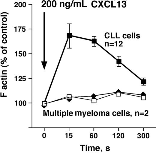 Figure 3. CXCL13 induces actin polymerization in CLL B cells, but not in multiple myeloma cells. Intracellular F-actin was measured using FITC-labeled phalloidin after addition of 200 ng/mL CXCL13 at time 0 second, as indicated by the arrow. Results are displayed as percentage of intracellular F-actin relative to that prior to the addition of CXCL13, as indicated on the vertical axis. ■ represent data points that are the mean (± SD) relative F-actin content of CLL cell samples from 12 different patients at the time points displayed on the horizontal axis. □ and ◆ represent F-actin content in multiple myeloma cells from 2 different patients after stimulation with CXCL13. In contrast to CLL cells, myeloma cells did not display a transient increase in F-actin that is a characteristic cellular response to stimulation with a chemokine.