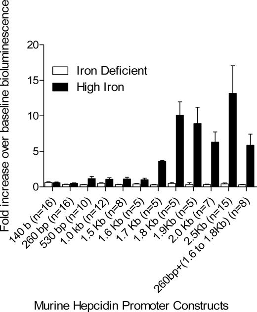 Figure 1. Location of the iron-responsive element in vivo. Mice receiving an iron-deficient diet (2-5 ppm) were hydrodynamically transfected with a pGL3 reporter plasmid containing the firefly luciferase gene (luc) under the control of various lengths of the murine hepcidin 1 (Hamp1) promoter. After 3 days, the basal level of bioluminescence was determined and mice were divided into 2 groups; 1 received a high-iron diet (2 × 104 ppm), and the second group remained on the iron-deficient diet (2–5 ppm). After 24 hours, the mice were anesthetized and reinjected with luciferin, and the bioluminescence was remeasured (day 4). The day-4 bioluminescence is expressed as fold change over baseline day 3 bioluminescence. Because the reporter is delivered by hydrodynamic transfection that results in transient expression, the actual levels of expressed reporter decreased with time. As a result, without stimulation, the day-4 bioluminescence is about one-third of the day-3 bioluminescence. Thus, the fold change of day-4 bioluminescence over day-3 baseline bioluminescence in mice on an iron-deficient diet is less than 1. The number of base pairs upstream of the start of translation is given for each promoter construct. The construct designated 260 bp + (1.6 to 1.8 Kb) contains the first 260 bp and the portion of the promoter between 1.6 and 1.8 Kb after the start of translation. The number of animals in each group on iron-deficient and high-iron diets was equivalent and is shown in the brackets; error bars represent 1 SEM.