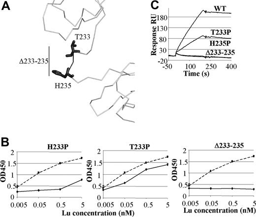 Figure 5. Ln511/521 binding to D2-D3 linker mutants. (A) Three proteins, T233P, H235P, and Δ233-235 (darker shade), containing mutations within the domain 2 to 3 hinge were made. (B) Representative ELISA titrations of hinge region mutants to Ln511/521 in comparison with binding to the native protein. Standard deviations were less than 0.1 OD units for any point. (C) The sensorgrams of representative Biacore assays with these mutants are shown.
