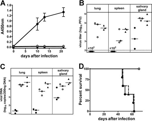 Figure 1. Antibody responses and protection against lethal MCMV infection by memory B cells adoptively transferred in RAG−/− mice. (A) IgG anti-MCMV antibody responses in RAG−/− mice adoptively transferred with 5 × 106 naive B cells (○), 5 × 106 B cells from MCMV-infected mice (•), or no cells (▴). Antibody titers (serum dilution, 1:100) at different time points after MCMV intraperitoneal infection with 105 pfu MCMV-Smith strain are shown (mean ± SEM of 3 mice/group). (B) MCMV titers and (C) viral DNA copies in lung, spleen, and salivary gland 28 days after MCMV infection of RAG−/− mice transferred with B cells from MCMV-infected mice (•), with naive B cells (○), and no cells (▴). Median values are shown. The dashed line in panel B indicates detection limit. (D) Survival curve of 5 RAG−/− mice/group adoptively transferred with B cells from MCMV-infected mice (○), naive B cells (•), and no cells (- -▴- -). Mice that received memory B cells were protected against lethal MCMV infection for more than 100 days (P < .005).
