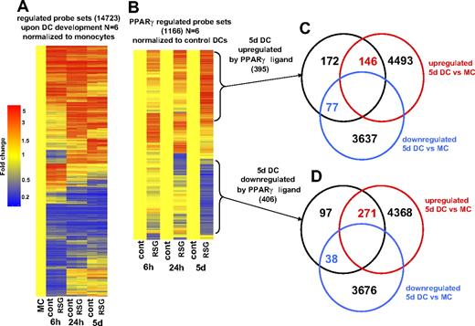 Figure 2. Gene-expression changes during DC development and upon PPARγ ligand treatment. (A) Probe sets (14 723) were regulated upon DC differentiation. Gene-expression data were normalized to freshly isolated monocytes. Dendograms were obtained from hierarchical clustering (standard correlation). Data were obtained using 6 biologic replicates. Cells were treated with 1 μM rosiglitazone (RSG; 6 hours, 24 hours DC) or with 2.5 μM RSG (5 days DC). RNA was isolated at the indicated time points. (B) Probe sets (1166) were regulated by PPARγ ligand during monocyte-derived DC differentiation. Microarray data were normalized to vehicle-treated cells. Venn diagram of the probe sets that were up-regulated (C) or down-regulated (D) after 5 days of PPARγ ligand treatment. Comparison of genes that were regulated in 5-day DCs versus monocytes is shown.