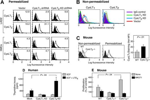 Figure 1. Coexpression and colocalization of CysLT1 and CysLT2 receptors by human MCs. Cytofluorographic analyses (A,B) showing expression of CysLT1 and CysLT2 receptor proteins by cord blood–derived hMCs and LAD2 cells. Cells were permeabilized for staining with the indicated anti–C-terminal Abs (A) or stained without permeabilization (B) with a polyclonal Ab against the third extracellular domain of CysLT1 (RB34) or with a monoclonal anti-CysLT2 (1B3) against the N-terminal 18 amino acids. The indicated blocking peptides were used to demonstrate specificity. (C) mBMMCs from the indicated genotypes were stained with RB34 with or without the corresponding blocking peptide. Shaded tracings in panels A to C are the isotype controls. Results in each panel are representative of 3 to 5 experiments for each. (D) Confocal images of LAD2 cells stained with directly labeled RB34 (Alexa Fluor 488) and anti–C-terminal CysLT2 Abs. Note staining of plasma membrane (blue arrows), nuclear envelope (white arrows), and nuclear inclusions (black arrows) and colocalization in each location. Results were similar regardless of which combinations of Abs were used. Results are from 1 experiment representative of 3 performed. Results with indirectly labeled Abs were similar (n = 2, results not shown). See “Immunostains and confocal imaging” for complete image acquisition information.