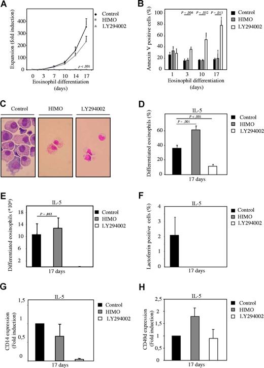 Figure 2. Inhibition of PKB with a pharmacological inhibitor induces eosinophil differentiation. (A) CD34+ cells were cultured in presence of IL-3 and IL-5 to induce eosinophil differentiation during 17 days. Cells were cultured either in absence or presence of 10 μM LY294002 or 20 μM 1L-6-Hydroxymethyl-chiro-inositol 2-(R)-2-O-methyl-3-O-octadecylcarbonate (HIMO), a PKB inhibitor. Expansion was determined by counting the trypane blue–negative cell population. (B) During the 17-day culture period the percentage of apoptotic cells was determined by annexin V staining. (C) After 17 days of eosinophil differentiation, cytospins were made and stained with May-Grunwald Giemsa solution. Data were expressed as both the percentage of differentiated eosinophils (D) and as absolute numbers (E). (F) Lactoferrin, (G) CD14, and (H) CD49d expression was analyzed by FACS to determine neutrophil, monocyte, and eosinophil/monocyte development, respectively. Error bars represent SEM.