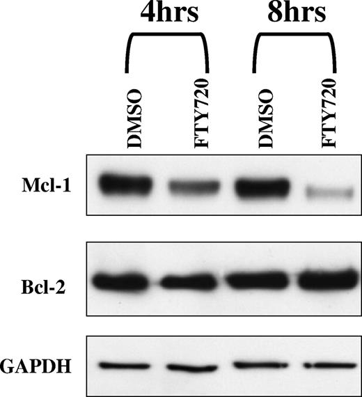 Figure 3. FTY720 induced down-modulation Mcl-1 but not Bcl-2 in CLL B cells. Primary CLL cells (1 × 106 cells/mL medium) were incubated with 5 μM FTY720 for 4 hours and 8 hours. Cell lysates from different time points were subjected to Western blot analysis using anti–Mcl-1, anti–Bcl-2, and GAPDH antibody.