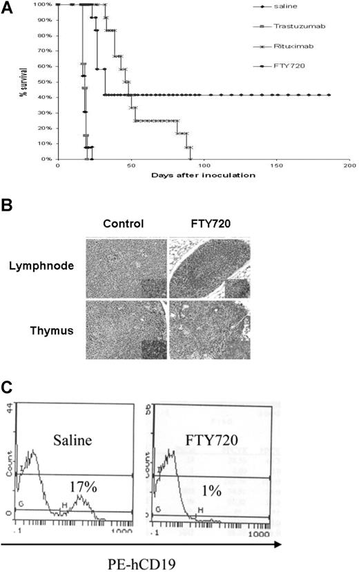 Figure 7. In vivo therapeutic evaluation of FTY720 in a SCID xenograft mouse model of disseminated lymphoma/leukemia. (A) Survival analysis of FTY720-treated mice. A total of 52 female 6- to 8-week-old C.B.-17 SCID mice were injected with 2 × 106 Raji cells intravenously by tail vein in 200 μL sterile PBS. At 74 hours after inoculation, the animals were divided into 4 equal treatment groups. The first 3 groups served as controls and received vehicle, trastuzumab, or rituximab injection (5 mg/kg) 3 times a week for 2 weeks; the fourth group consisted of animals treated with FTY720 (5 mg/kg) every day for 2 weeks intraperitoneally. All the animals were monitored daily for signs of illness and killed immediately if hind-limb paralysis, respiratory distress, or 30% body weight loss was noted. The endpoint of the study was survival defined as the time for the development of hind-limb paralysis. The median survival time for FTY720-treated mice was 47 days (95% CI, 39-53). This is significantly prolonged compared with placebo controls (18 days; 95% CI, 17-19; FTY720 vs placebo, P < .001). (B) Depletion of infiltrated human CD45+ cells in FTY720-treated mice, but not in control mice. Histologic (hematoxylin and eosin staining) analysis of lymph node (top panels) and thymus (bottom panels) from control untreated (left panels) or FTY720-treated (right panels) mice. Insert shows immunohistochemical analysis of human CD45+ cells in the respective sections from untreated and FTY720 treated mice. (C) Flow cytometric analysis of bone marrow cells from Raji cells engrafted mice at day 17 after inoculation. Mice were treated with placebo or FTY720, and the percentage of human CD19+ cells in the bone marrow were analyzed by flow cytometry using anti-human CD19 antibody that detects the human (Raji) but not mouse B cells.
