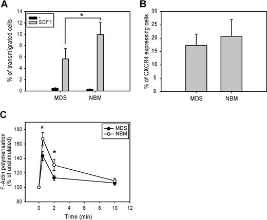 Figure 1. Impaired migration and F-actin polymerization in CD34+ cells from MDS patients. (A) CD34+ cells from healthy donors (normal bone marrow; NBM) and MDS patients were applied to the upper compartment of a microchamber transwell system with 5 μm pores. Migration was induced by 100 ng/mL SDF-1 in HPGM present in the lower compartment of the chamber. Cells were allowed to migrate for 4 hours at 37°C after which the transmigrated CD34+ cells were harvested from the lower chamber and counted by FACS analysis. The assay was done in duplicate, and results are expressed as the ratio between transmigrated CD34+ cells and the total amount of CD34+ cells added to the upper well. The means of 7 MDS patients and 7 healthy donors (NBM) are shown. (B) Isolated CD34+ cells were stained with CXCR4-Fitc, or isotype control IgG-Fitc for 20 minutes at 4°C. Cells were washed with phosphate-buffered saline, and the percentage of CXCR4-Fitc positive cells was determined by flow cytometry. The means of 9 MDS patients and 9 healthy donors are shown. (C) Isolated CD34+ cells were stimulated with 100 ng/mL SDF-1 for the indicated time. Cells were fixed and permeabilized, and F-actin was stained with 2.5 U/mL OregonGreen 514-Phalloidin. The fluorescence intensity of SDF-1-stimulated cells was determined by FACS analysis and presented as a percentage of that of unstimulated cells. The means of 8 MDS patients and 8 healthy controls (NBM) are shown.
