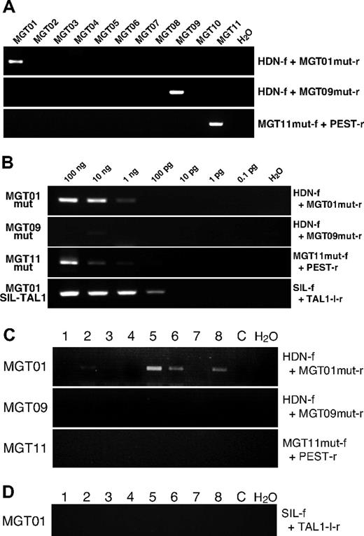 Figure 1. Detection of NOTCH1 mutation via PCR. (A) Specificity of PCR primers for patient-specific mutations was examined by PCR with diagnostic DNA samples of T-ALL patients (MGT01 to MGT11). Primers used for the PCR are shown with the panels. Two rounds of PCR were necessary to obtain a clear amplification band in patient MGT09, possibly because of a low number of leukemic cells. (B) Sensitivity assay of mutation-specific primers. Serially diluted diagnostic DNA was subjected to PCR amplification with Ampdirect Plus in 40 cycles of PCR reaction. F indicates forward and r, reverse PCR primers for mut, mutation. Sequences of the primers for specific mutation of each patient were as follows: MGT01mut-r, 5′-GTGCGTCACGCTTGGCGACTTTTG-3′ for patient MGT01; MGT09mut-r, 5′-CGTCACGCTTGGGCACAAAG-3′ for MGT09 and MGT11mut-f; 5′-GAGAGCCGAGCCAGGCACACT-3′ for MGT11. MGT01mut-r and MGT09mut-r were used in combination with HDN-f, and MGT11mut-f was used with PEST-r primers. When necessary, 2-round, seminested PCR was conducted with the primers; HDN-f2, 5′-ACTGCGACCAGGGCTGCAACAG-3′ (with MGT01mut-r or MGT09mut-r) and PEST-r2, 5′-GTTGTCCACAGGCGAGGAGTAG-3′ (with MGT11mut-f). (C) Results of representative PCR for patient-specific mutation are shown. Of 8 MGT01 blood spot pieces, 5 showed positive bands (of which 2 were very faint and became clear after seminested PCR amplification (data not shown). All slices from blood spots of MGT09 and MGT11 were negative for their respective NOTCH1 mutation. At least 16 pieces of blood spots, in total, were examined in each patient. C indicates control blood spot without NOTCH1 mutation. (D) Results of SIL-TAL1 amplification on the MGT01 blood spot. Sixteen pieces were examined in total and all were negative, as shown here for 8 slices, even after 2 rounds of PCR amplification.