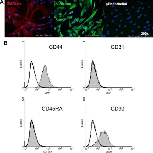 Figure 2. Immunohistochemical and flow cytometric phenotyping of UTCs. Porcine UTCs were phenotyped using available porcine-specific and known cross-reactive reagents by immunohistochemistry (A) and by flow cytometry (B). Filled curve represents UTCs; hollow curve, isotype negative control. See “Immunocytochemistry” for image acquisition information.