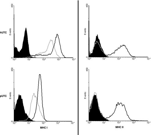 Figure 3. Inducible expression of MHCII and increased MHCI with IFN-γ. Unactivated UTCs (gray, hollow curves) of both human (top panels) and porcine (bottom panels) origin express MHCI (left), but no MHCII (right). After 48 hours of incubation with IFN-γ, human and porcine activated UTCs (black, hollow curves) have increased expression of MHCI (left) and induced expression of MHCII (right). In all cases, staining was compared with an unstained negative control (black, filled).
