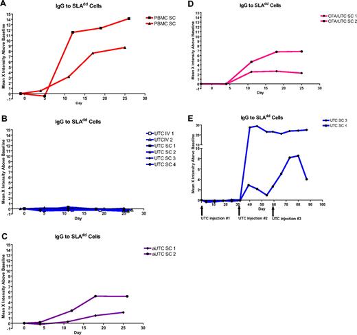 Figure 4. Serum antibody to SLAdd cells after single administration of cells. Control animals injected with 1 × 108 PBMCs (A) demonstrated production of IgG antibody to SLAdd PBMCs within 2 weeks of injection. Animals receiving one injection of 108 unactivated UTCs either intravenously or subcutaneously (B) did not have detectable antibody. IgG antibody production was also seen in animals injected with 108 activated UTCs (aUTCs) expressing MHCII (C) and in animals receiving 108 UTCs injected around an inflammatory lesion (CFA/UTC) (D), as well as after in animals receiving repeated doses (108 cells/dose) of UTCs (E).