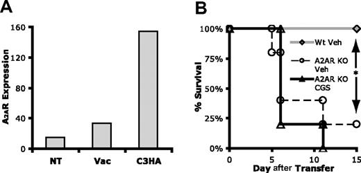 Figure 4. Endogenous adenosine is required to prevent death by autoimmunity. (A) In vivo A2AR mRNA expression as determined by Affymetrix microarray analysis for 6.5+ TCR transgenic clonotypic T cells specific for hemagglutinin (HA) that had been transferred into B10.D2 mice (NT), vaccinated B10.D2 mice (Vac), or C3HA mice (C3HA). (B) Survival curve of C3HA mice given Wt () or A2AR−/− 6.5+ T cells (○) (n = 5 each condition). Data are representative of 2 independent experiments.