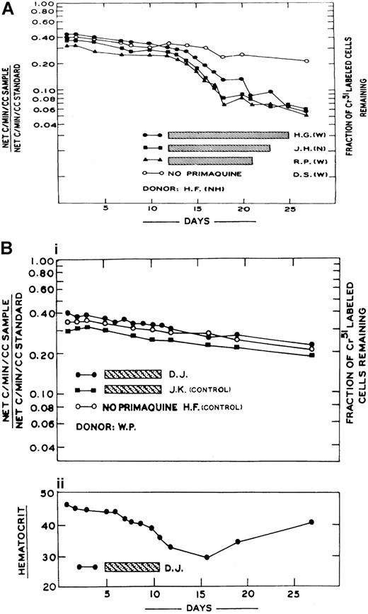 Figure 1. Chromium 51 studies showing that primaquine sensitivity was due to an intrinsic defect of the red blood cell. (A) Red cells from a primaquine-sensitive volunteer were labeled with chromium 51 and transfused into normal recipients. Three of these recipients were given 30 mg primaquine daily as shown by the bars. (B) Red cells from a primaquine-nonsensitive volunteer were labeled with chromium 51 and transfused into a normal and one primaquine-sensitive volunteer (D.J.). Two of the subjects were given primaquine, including D.J., who was primaquine sensitive. The fall of the hematocrit of D.J. is shown in the lower panel B. (Reprinted from Dern et al67 with permission from Elsevier.)