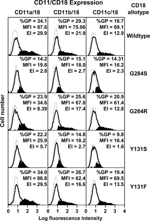 Figure 4. Transfection of wild-type and mutant CD11/CD18 dimers into COS-7 cells. Wild-type CD18 cDNA or the mutants G284S, G284R, Y131S, and Y131F were transfected into COS-7 cells together with the wild-type cDNA for CD11a, CD11b, or CD11c. CD11/CD18 expression was monitored by flow cytometry using the monoclonal antibody 1B4. The background histograms (broken lines) were obtained using an irrelevant isotype-matched antibody. Expression profiles of CD11/CD18 transfectants are shown as solid lines. The subtracted profiles (using Cellquest software) are shown in solid black. The percentage of gated positive cells (%GP), mean fluorescence intensity (MFI), and expression index (EI), derived from %GP × MFI are also shown.