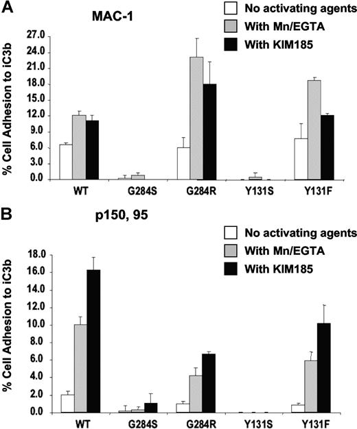 Figure 6. Adhesion of transfectants. Adhesion of Mac-1/(CD11b/CD18) (A) and p150,95/(CD11c/CD18) (B) transfectants to iC3b. Adhesion was done in the absence of activating agents, in the presence of 0.5 mM MnCl2, or with the activating monoclonal antibody KIM185 (2.5 μg/mL).