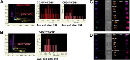 Figure 2. Analysis of differentiated hESCs by image scanning flow cytometry. hESCs allowed to differentiate on S17 stromal cells were analyzed by image scanning flow cytometry to provide concurrent data on cell phenotype and morphology. Cells were stained for (A) CD34 and CD31 and (B) CD34 and CD45 with cell size distribution of cells gated for CD34brightCD31+ and CD34dimCD45+ cells as indicated. Mean signal intensity for each cell population is shown. (C,D) Images of cells gated for (C) CD34bright and (D) CD34dim expression. Brightfield (BF) channel indicates cell morphology, side scatter (SSC) shown in blue indicates granularity, and exclusion of 7-AAD is illustrated by absence of red staining. Pink staining is indicative of CD34 expression, and orange color demonstrates expression of indicated cell-surface antigens.
