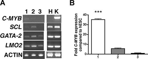 Figure 3. RT-PCR analysis of sorted hESC-derived cell populations. (A) hESCs differentiated for 10 days were sorted for (lane 1) CD34brightCD31+Flk1+, (lane 2) CD34+CD31−Flk1+, and (lane 3) CD34−CD31−Flk1− cells and analyzed for expression of hematopoietic and endothelial transcripts. Human umbilical vein endothelial cells (H) and K562 cells (K) were used as positive controls. (B) Q-RT-PCR analysis for expression of C-MYB from sorted populations: column 1 = CD34brightCD31+Flk1+, column 2 = CD34+CD31−Flk1+, and column 3 = CD34−CD31−Flk1− cells. All samples were normalized to GAPDH expression and compared with C-MYB expression in undifferentiated hESCs. Error bars indicate plus or minus SEM; ***P < .001.