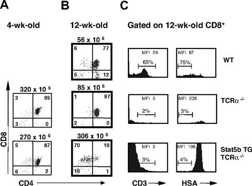 Figure 3. Stat5b-mediated CD8+ thymic T-cell expansion and lymphoma on the TCRα−/− background. (A) Thymic CD4/CD8 profiles of 4-week-old TCRα−/− mice with and without the Stat5b transgene. Numbers indicate the percentage of cells in each quadrant, and total cellularity is indicated above each dot plot. Note the increase in the percentage of CD8+ SP cells (with comparable total cellularity) in Stat5b TG/TCRα−/− mice. (B) CD4/CD8 profiles of 12-week-old TCRα−/− mice with and without the Stat5b transgene. The Stat5b TG/TCRα−/− mice had grossly enlarged thymi and spleens consistent with T-cell lymphoblastic lymphoma. (C) CD3 and HSA surface expression on CD8+ SP thymocytes in TCRα−/− mice. Numbers indicate the MFI for the CD8+ SP population as well as the percentage of mature cells (gated on CD3hi/HSAlo). Representative data are shown from 1 of 4 similar experiments involving a total of 12 Stat5b TG/TCRα−/− and 10 TCRα−/− mice.