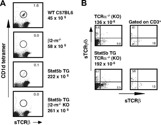 Figure 5. CD1d-dependent NKT cells in β2m−/− mice with and without the Stat5b transgene. (A) Thymic sTCRβ/CD1d tetramer profiles of 18-week-old β2m−/− mice with and without the Stat5b transgene. Studies of age-matched C57BL/6 mice, with and without the Stat5b transgene, are shown for comparison. Both the Stat5b TG mice on the WT background and Stat5b TG β2m−/− mice had evidence of lymphoma (enlarged thymus, increased cellularity, and characteristic CD3/FSC and CD4/CD8 profiles; data not shown). Percentage of gated cells is indicated with each profile, and the total cellularity of the thymus indicated on the right. (B) γδ T cells in TCRα−/− mice. The left panels show 2-color profiles for sTCRγδ and sTCRαβ in TCRα−/− mice with and without the Stat5b transgene. Numbers indicate the percentage of cells in each quadrant, and total cellularity is indicated above the dot plots. The right panels show the same comparison gated on CD3+ cells. Representative data are shown from 1 of 2 similar experiments.