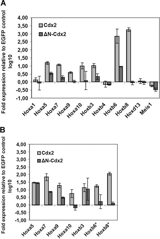 Figure 1. Aberrant expression of Cdx2 up-regulates Hox gene expression in murine bone marrow progenitors. (A) Fold expression levels of Hox genes in murine BM progenitors induced by ectopic expression of Cdx2 or the ΔN-Cdx2 mutant (ΔN) referred to the expression level in BM progenitors transduced with the EGFP control vector 48 hours after the end of transduction. (B) Fold expression levels of Hox genes in primary colonies expressing Cdx2, ΔN-Cdx2, or the empty control vector (EGFP). The fold expression was calculated by the rρCT method based on the expression level of the Hox genes in cells transduced with the EGFP control. *Expression of Hoxb6 and Hoxb8 were not detectable in EGFP control cells. Error bars indicate the standard deviations (SD).