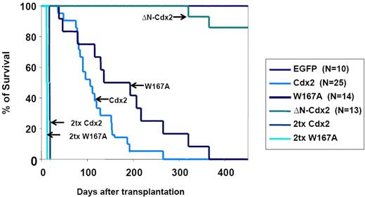 Figure 3. Survival of mice that received transplants. Survival curves of mice that received transplants of BM cells expressing Cdx2 (n = 25), the W167A-CDX2 mutant (n = 14), or the ΔN-Cdx2 mutant (n = 13). The control group received transplants of BM infected with the EGFP control retrovirus (n = 10). The survival time of secondary recipient mice that received transplants of BM from diseased primary animals from the Cdx2 or W167A-CDX2 cohort is indicated. Tx indicates transplantation.