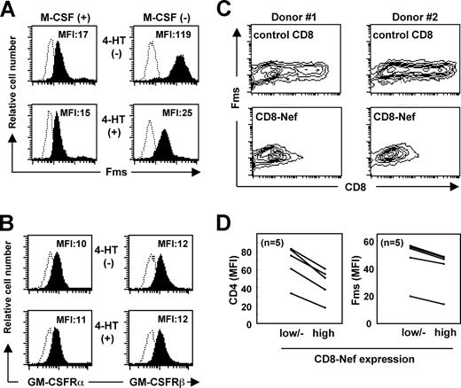 Figure 1. Nef inhibits surface expression of Fms. (A) In the left histograms, TF-1-fms-Nef-ER cells were precultured with M-CSF–containing media in the absence (upper) or presence (lower) of 0.1 mM 4-HT for 24 hours. In the right histograms, TF-1-fms-Nef-ER cells were precultured with M-CSF–free media in the absence (top) or presence (bottom) of 0.1 μM 4-HT for 12 hours. The expression of Fms on these cells was analyzed by flow cytometry with PE-labeled anti-Fms antibody. The mean fluorescence intensity (MFI) of Fms expression is indicated. (B) TF-1-Nef ER cells were precultured with GM-CSF–free media in the absence (top) or presence (bottom) of 0.1 μM 4-HT for 12 hours. The surface expression of GM-CSF receptors was analyzed with FITC-labeled anti-α chain (left) and PE-labeled anti-β chain (right) antibodies. The MFI of GM-CSF receptor expression is indicated. (C) Macrophages were nucleofected with the control CD8 plasmid or CD8-Nef plasmid and then costained with APC-labeled anti-CD8 and PE-labeled anti-Fms. Results with macrophages obtained from 2 different donors are shown as contour plots. (D) As in panel C, the nucleofected macrophages were costained with APC-labeled anti-CD8 and PE-labeled anti-Fms, or with APC-labeled anti-CD8 and PE-labeled anti-CD4. The MFI of the expression of Fms or CD4 in the populations of CD8low/−, CD8high, CD8-Neflow/−, or CD8-Nefhigh was analyzed. The results with macrophages obtained from 5 different donors are summarized.