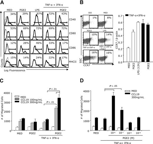 Figure 1. Effects of PGE2 on DC phenotype and CCL19-induced chemotaxis. CD11c+ DCs were treated with IFN-α (1000 IU/mL) plus TNF-α (20 ng/mL) with or without PGE2 (10−6 M) (A-C) or with different PGE2 concentrations (D) for 48 hours. Controls consisted of DCs cultured in medium, treated with PGE2 alone, or with LPS (1 μg/mL). (A) FACS analysis for MHCII, CD40, CD80, and CD86 expression. Dotted lines in the left panels represent isotype controls. (B) CCR7 expression was analyzed by FACS (24 hours for LPS and 48 hours for all other treatments) and real-time RT-PCR (12 hours for LPS and 24 hours for all other treatments). (C) DCs (105 cells in 0.1 mL) were placed in the upper chambers of a 8.0-μm pore size Transwell plate. The bottom chambers were filled with serum-free medium with or without CCL19 (100 ng/mL and 300 ng/mL). After 3 hours of incubation at 37°C, the migrating cells were collected from the lower chambers and counted by FACS (60-second counts). (D) DCs were treated with TNF-α +IFN-α in the absence and presence of various PGE2 concentrations. Chemotaxis in response to CCL19 (300 ng/mL) was determined as described in panel C. Data are representative of 3 independent experiments.
