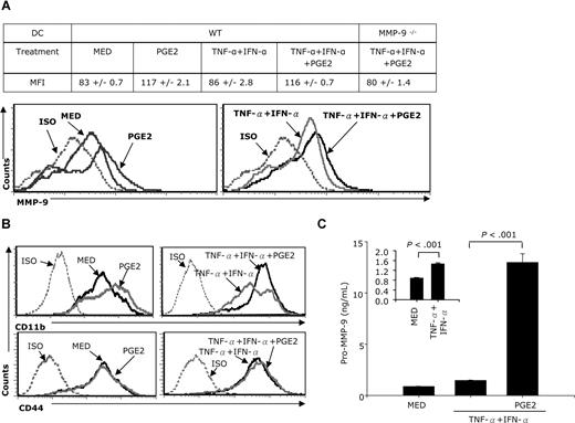 Figure 3. PGE2 induces both membrane-associated and soluble MMP-9 expression. (A) CD11c+ DCs were treated with TNF-α plus IFN-α in the presence or absence of PGE2 for 24 hours in serum-free conditions. Cells were stained with goat anti–mouse MMP-9 antibody for 40 minutes, followed by PE-donkey anti–goat IgG for 40 minutes. Expression of membrane-associated MMP-9 was measured by FACS. (B) CD11c+ DCs were treated with PGE2 (10−6 M) or TNF-α IFN-α plus or minus PGE2 for 24 hours followed by FACS for CD11b and CD44 expression. (C) CD11c+ DCs were stimulated with TNF-α plus IFN-α (in the presence or absence of PGE2 (10−6 M) for 48 hours. Supernatants were collected, and the amounts of secreted pro–MMP-9 were determined by using the pro–MMP-9 Quantikine assay. Data are representative of 3 independent experiments for panels A and C, and of 2 representative experiments for panel B.