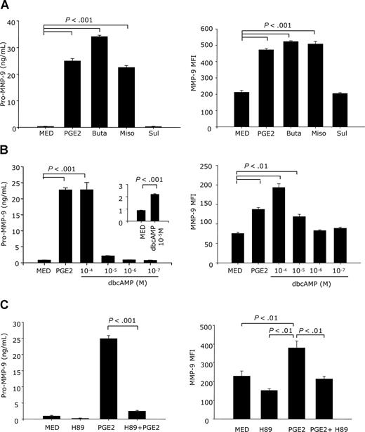 Figure 4. MMP-9 up-regulation by PGE2 is mediated through the EP2/EP4 receptors and the cAMP→PKA signaling pathway. (A) CD11c+ DCs were treated with butaprost (10−5 M) (an EP2 agonist), misoprostol (10−5 M) (an EP2/EP4/EP3 agonist), or sulprostone (10−5 M) (an EP1/EP3 agonist) for 24 hours in serum-free medium for membrane-bound MMP-9 and for 48 hours in complete medium for secreted MMP-9. Cells were stained with goat anti–mouse MMP-9 antibody for 40 minutes, followed by PE-donkey anti–goat IgG for 40 minutes. Membrane-associated MMP-9 was measured by FACS. The amounts of secreted pro–MMP-9 were measured in supernatants by using the pro–MMP-9 Quantikine assay. (B) CD11c+ DCs were treated with different concentrations of dbcAMP (10−4-10−7 M) for 24 hours (membrane MMP-9) or 48 hours for secreted MMP-9. Membrane-bound and secreted MMP-9 were determined as in panel A. (C) CD11c+ DCs were pretreated with H89 (10−5 M) for 30 minutes, followed by PGE2 (10−6 M) for 24 hours for membrane MMP-9 and 48 hours for secreted MMP-9. Membrane-bound and secreted MMP-9 were determined as in panel A. Data are representative of 2 independent experiments for membrane-bound MMP-9 and 3 independent experiments for secreted MMP-9.