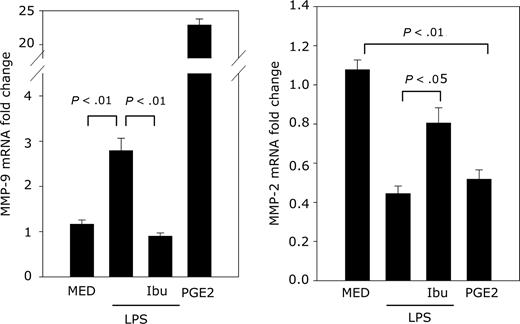 Figure 7. Endogenous PGE2 up-regulates MMP-9 expression. DCs were pretreated with ibuprofen (10−5 M) for 30 minutes followed by treatment with LPS (1 μg/mL). DCs were treated with ibuprofen every 12 hours (total time in culture, 60 hours). The negative controls consisted of DCs cultured in medium (with or without ibuprofen treatment). Addition of ibuprofen to cells cultured in medium did not affect the levels of MMP-9 or -2. The positive control consisted of DCs exposed to exogenous PGE2 (10−6 M) for 24 hours. MMP-9 and MMP-2 expression was determined by real-time RT-PCR.