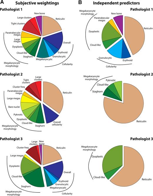 Figure 3. Subjective and objective predictors of WHO diagnosis. (A) Subjective estimates of the relative importance of 16 morphologic features in determining WHO diagnosis for each of the 3 hematopathologists. (B) Factors independently associated with WHO diagnosis for the 3 hematopathologists. The relative proportion of the pie chart for each variable was calculated as the ratio of its regression coefficient to the sum of all regression coefficients in the model, after all variables were scaled to the same 0 to 1 range.