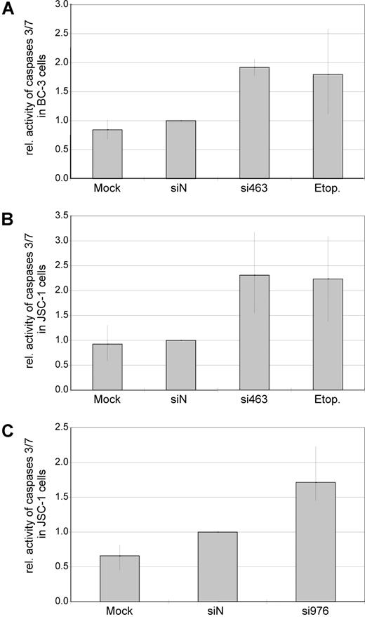 Figure 4. Knock-down of expression is associated with increased caspase activity in both EBV− and EBV+ PEL cells. EBV−, KSHV+ PEL cells (BC-3; A) and dually EBV/KSHV-positive PEL cells (JSC-1; B,C) were transfected with synthetic siRNAs targeted at vIRF-3 (si463, A,B; si976, C). Mock-transfected cells (HiPerFect only) or scrambled siRNAs (siN) were used as negative controls. Cells treated with the apoptosis-inducing agent etoposide (etop.) served as a positive control for caspase induction. Cells were harvested 2 days after transfection, and activity of caspase-3/7 was measured in duplicates. Arithmetic means and total range of values are given from 4 (A), 6 (B), or 3 (C) independent transfection experiments (data were normalized to siN in individual experiments). Although a slight increase of caspase activity could be observed by transfection of scrambled siRNAs as compared with mock-transfected cells, this difference was statistically not significant (P = .713). In contrast, transfection of si463 as well as si976 in either BC-3 or JSC-1 cells resulted in an increase of caspase activity (siN compared with si463: range, 1.5- to 3.1-fold; P < .001 2-sided t test for paired samples. Absolute values were used for statistical calculations).