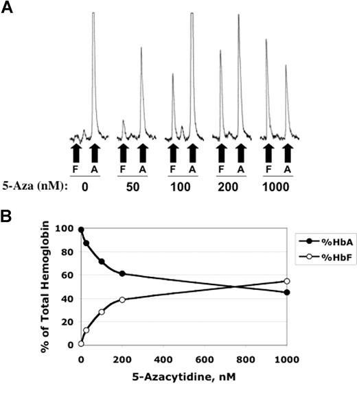 Figure 3. Dose-response effects of 5-azacytidine on hemoglobin production. (A) Ion exchange HPLC tracings of hemolysates from cells at the completion of the in vitro differentiation procedure. Fetal (F) and adult (A) hemoglobin peaks are indicated. (B) Summary of Hb HPLC data showing a reciprocal effect of 5-azacytidine on fetal and adult hemoglobin levels.
