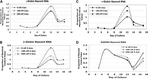 Figure 7. 5-Azacytidine increases nascent mRNA production from the γ, β, and α-globin genes. Quantitative RT-PCR was performed using primers that crossed intron-exon boundaries or were within an intron to determine levels of nascent or pre-mRNA as an indicator of gene activity. (A) Effect of 5-azacytidine on nascent γ-globin gene expression. (B) Effect of 5-azacytidine on nascent β-globin gene expression. (C) Effect of 5-azacytidine on nascent α-globin gene expression. (D) Effect of 5-azacytidine on nascent GAPDH gene expression. CD34+ cells from a single normal donor were used for this experiment. Each RT-PCR analysis was performed in triplicate.